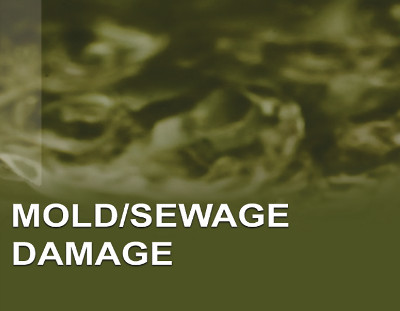 Mold / Sewage Damage 